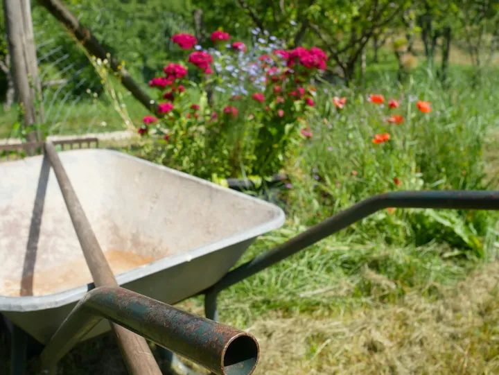 A gardener removing weeds from a garden bed.